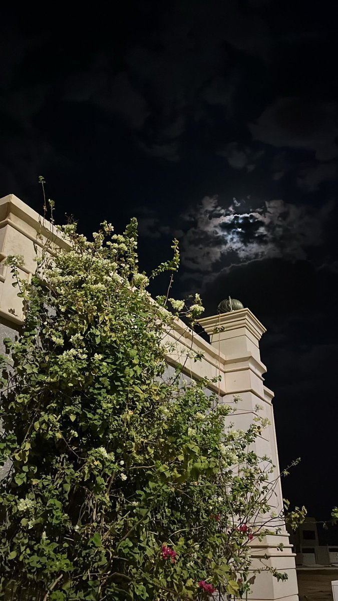 ‏الاميرة 🇸🇦 tweet media