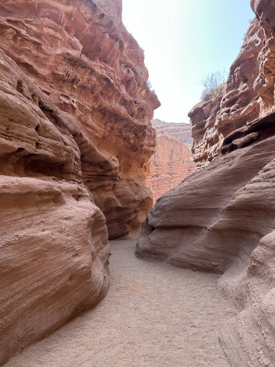 ZuoMaiGie 做麼嘅 tweet media