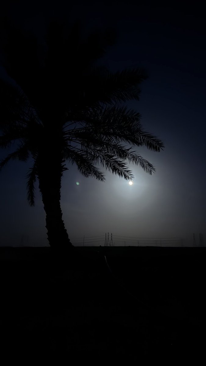 givdl_'s tweet photo. على دلةٍ ماهي مثل قهوة الاتراك بها زعفران وهيل والبن خولاني اكيف مع الفنجال الاول بدون ادراك ويوقظ سبات الفكر فنجالها الثاني https://t.co/zZMKs4rDZb