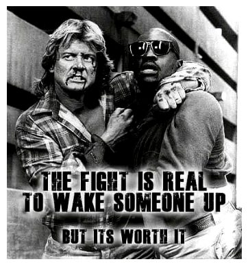 HamsterTales tweet media