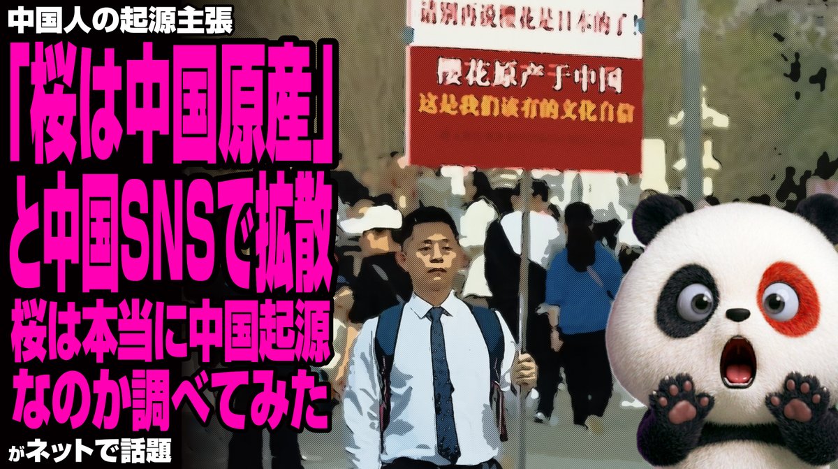 ゆるパンダ tweet media