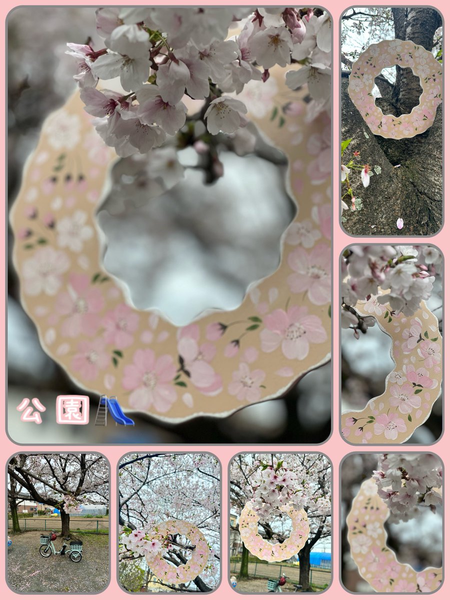 きんかんの実 tweet media