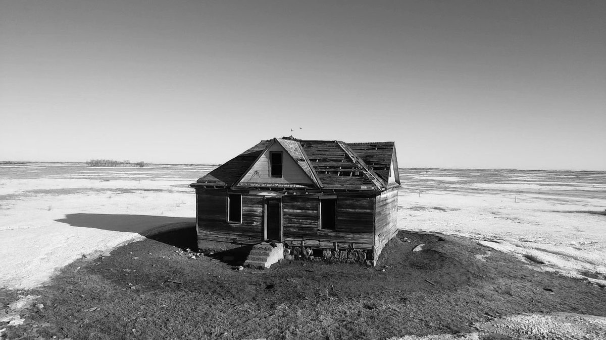 Dylan Bertholet tweet media