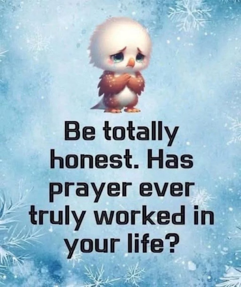 Honey 🛼 tweet media