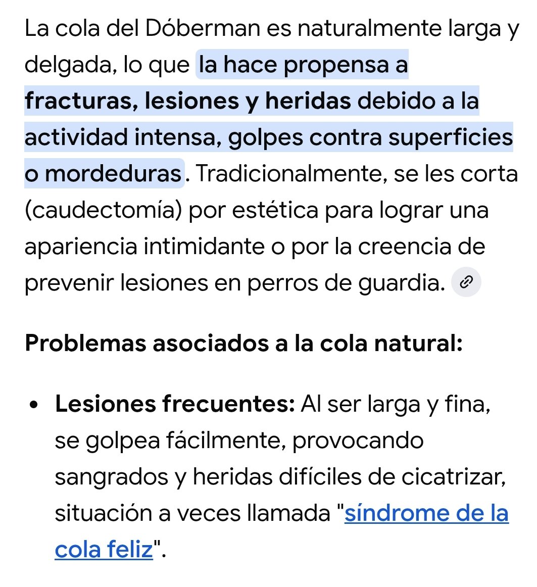 🇨🇱RECHAZOMAN🇨🇱 Siempre seré del 22% tweet media