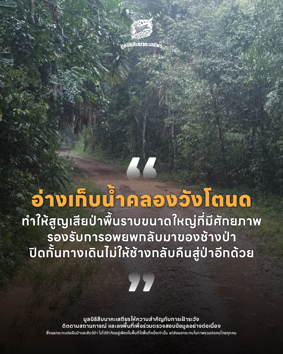 มูลนิธิสืบนาคะเสถียร tweet media