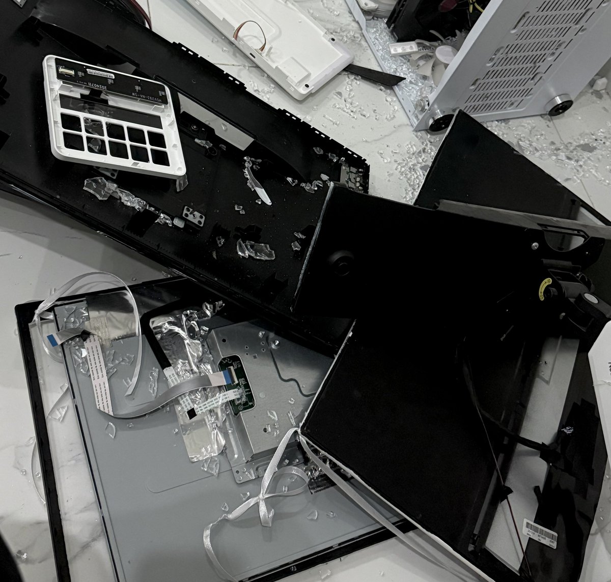 𝒟𝑜 tweet media