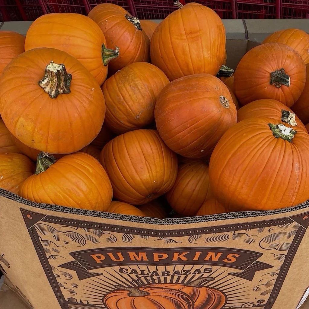 COZYVIBES tweet media