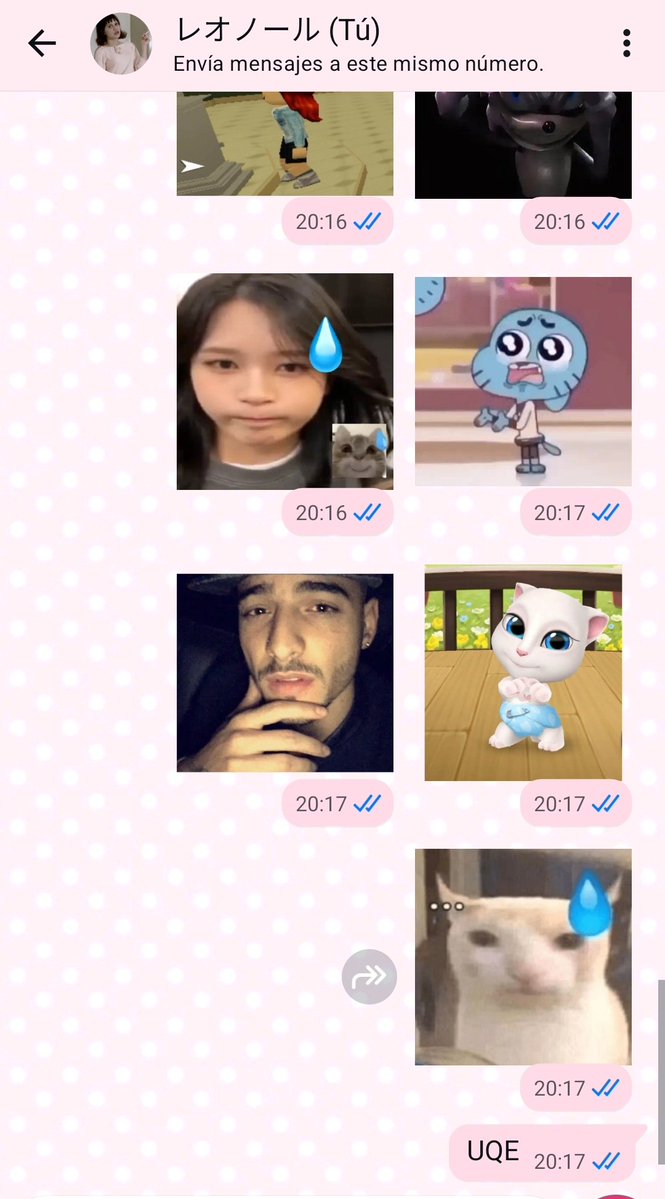 jimmy hopkins of shedtwt tweet media