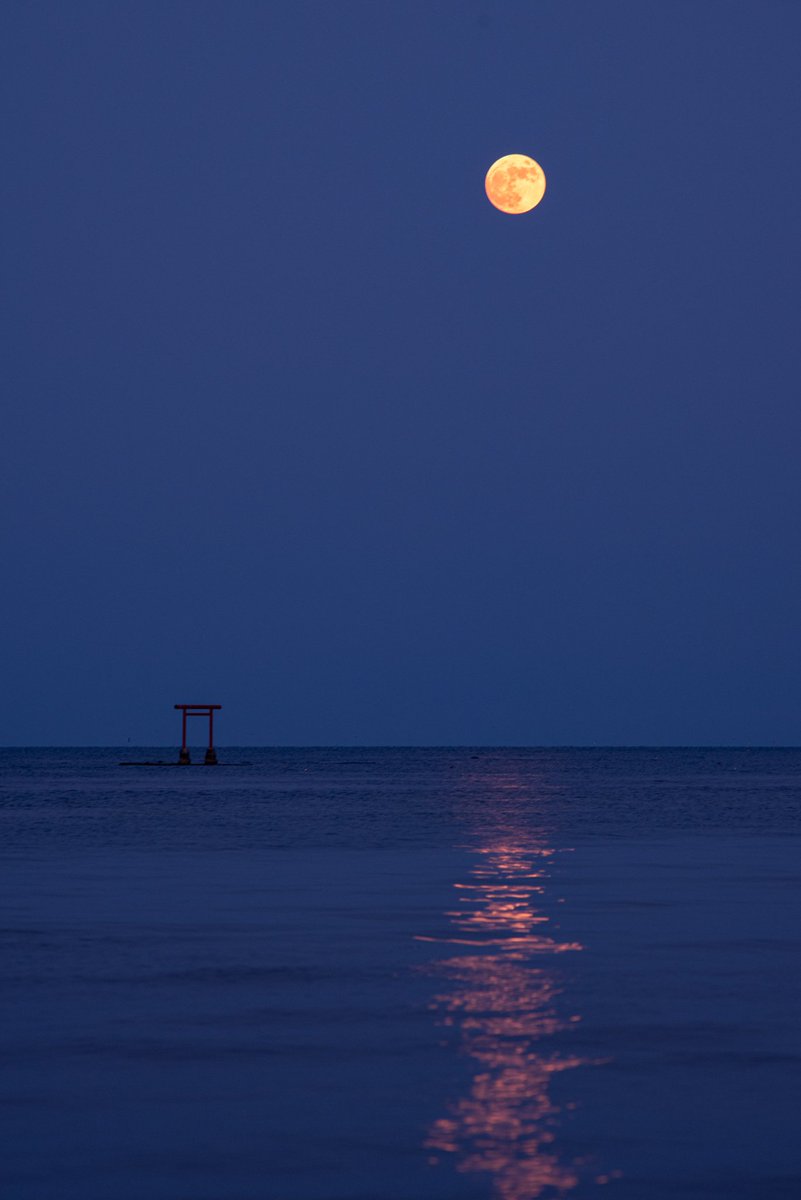 本日4月2日(木)は満月です。
今朝は有人月周回ミッション「アルテミスⅡ」が打ち上がりましたね。
半世紀ぶりの有人の月探査です。今回は月を周回し、地球に帰ってきます。無事の帰還を祈ります。
今夜満月が見えましたら、「月に人が向かっているんだ」と思いを馳せてみましょう。