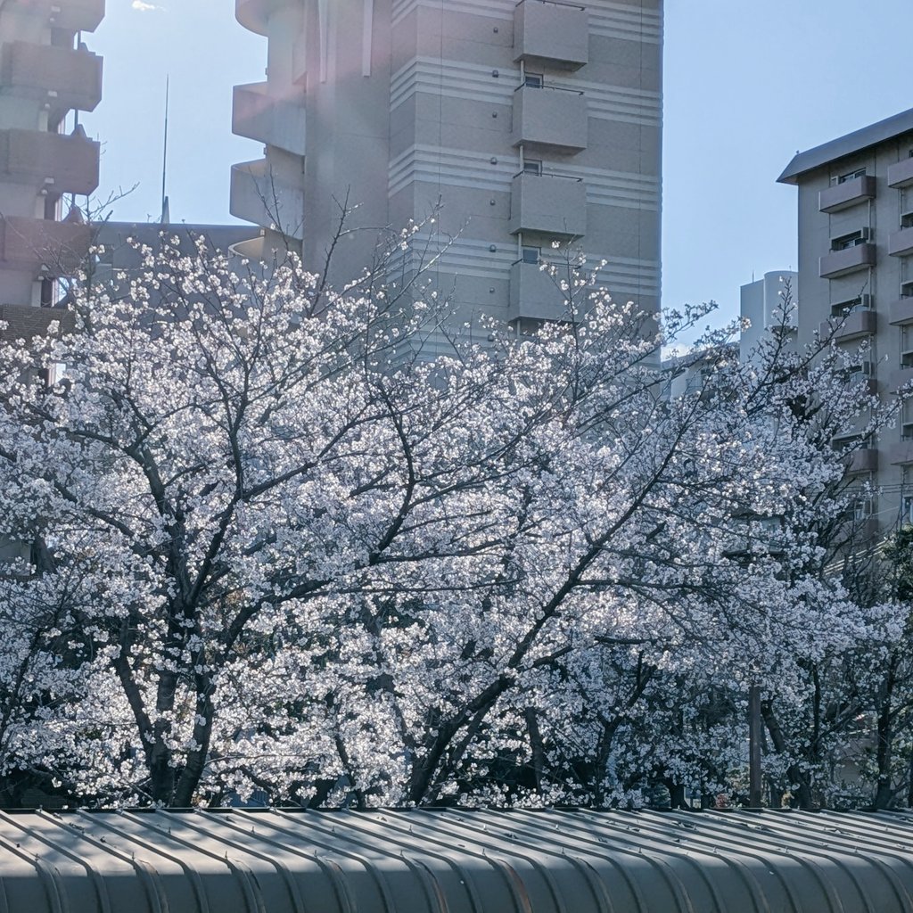 まちゃ tweet media