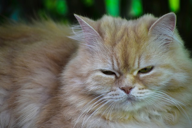 Emily Lee tweet media