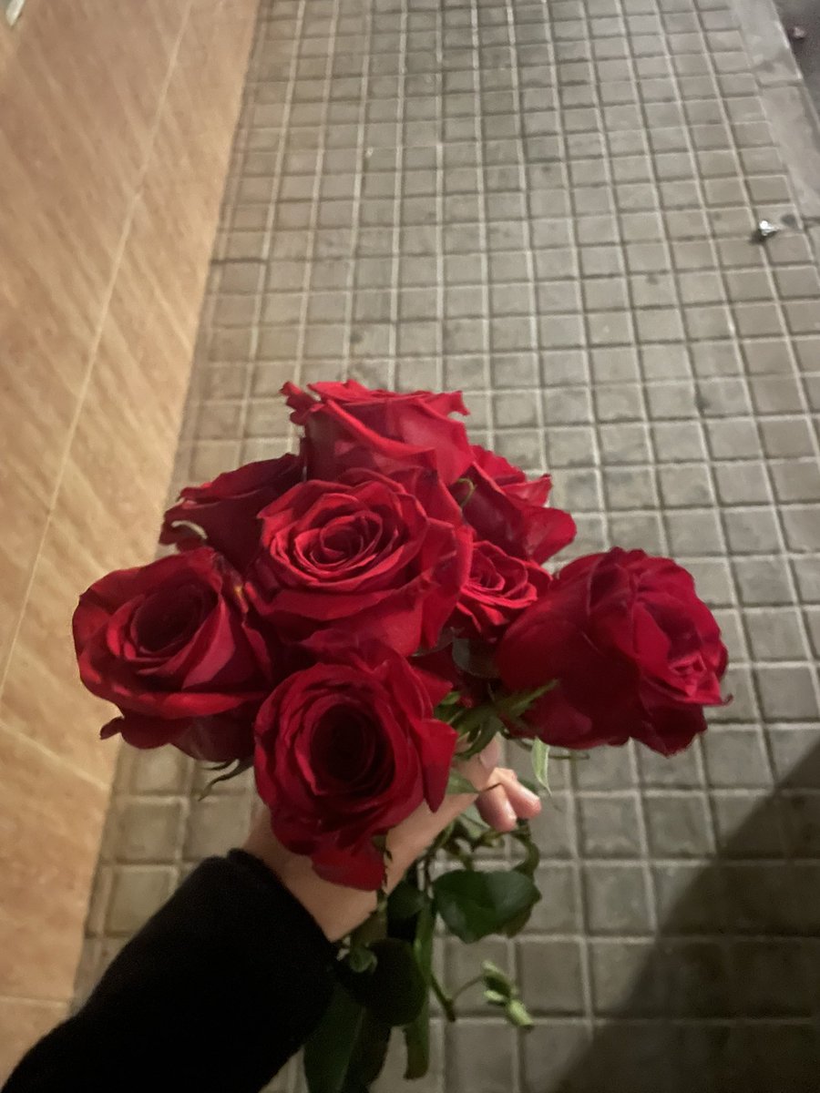 Pingu 🇻🇦 tweet media