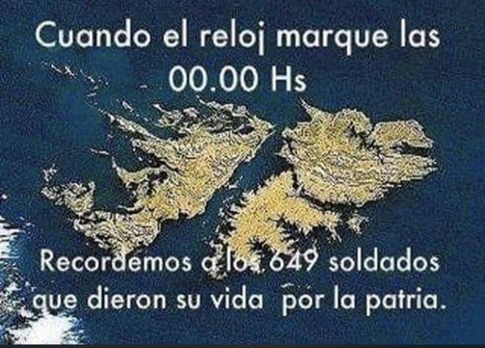 Daniel Stella tweet media