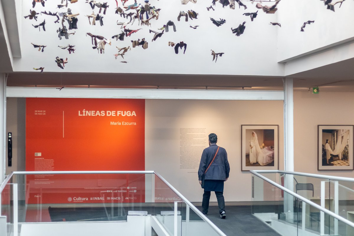 Museo de Arte Carrillo Gil tweet media