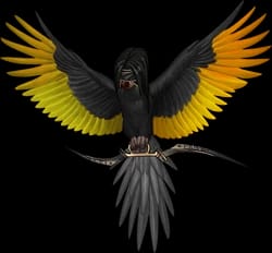 𐔌 . ݁ 𝓐cervo 𝒢ɑlrin . ݁ — 💣⛓️ tweet media