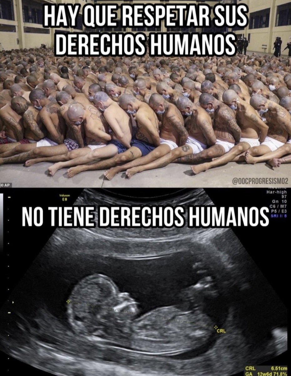 María del Rosario Vargas tweet media