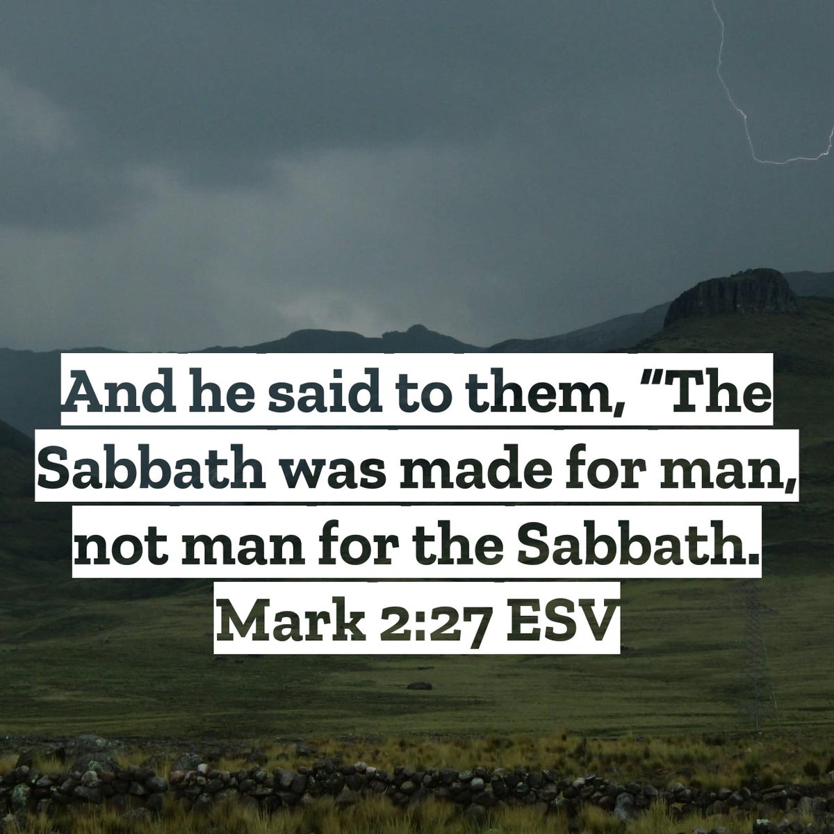 AmorProximi tweet media