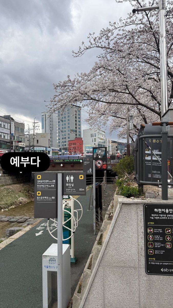 쓰니아카이브… tweet media