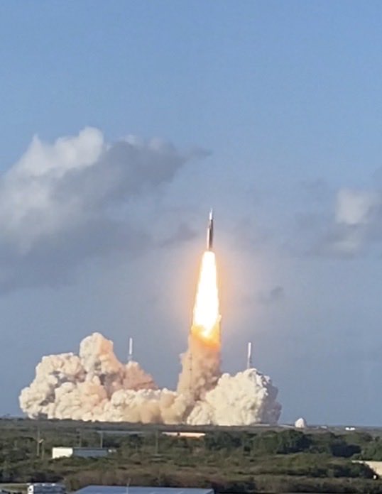 Sylvia Cesaratto tweet media