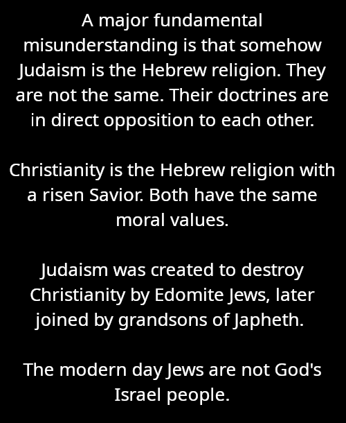 Tim Coucke tweet media