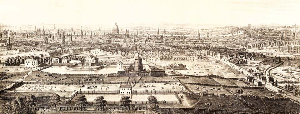 Made in Ancapia tweet media