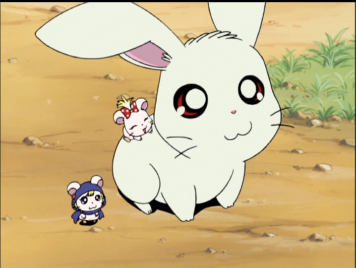 Hamtaro・ハム太郎 tweet media