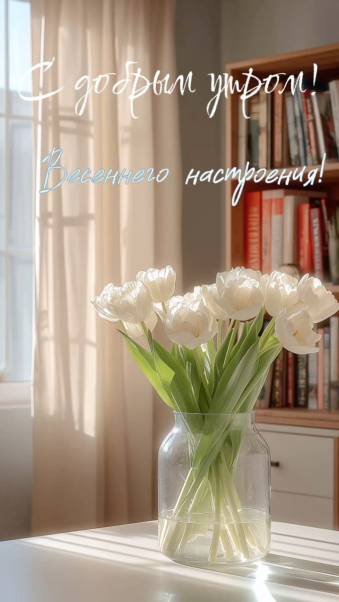 Светлячок💜 tweet media