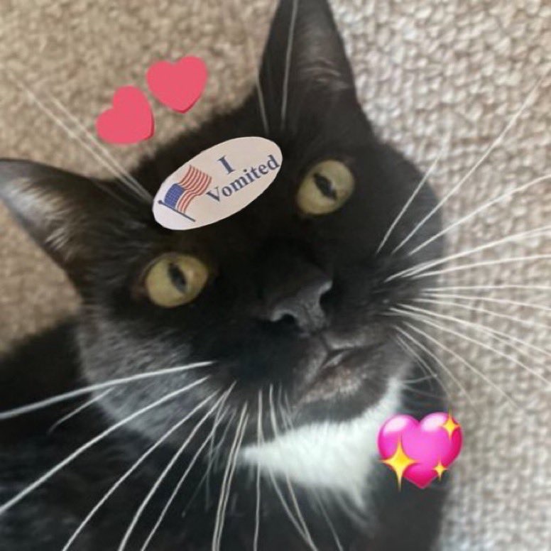 ACAB Rave tweet media