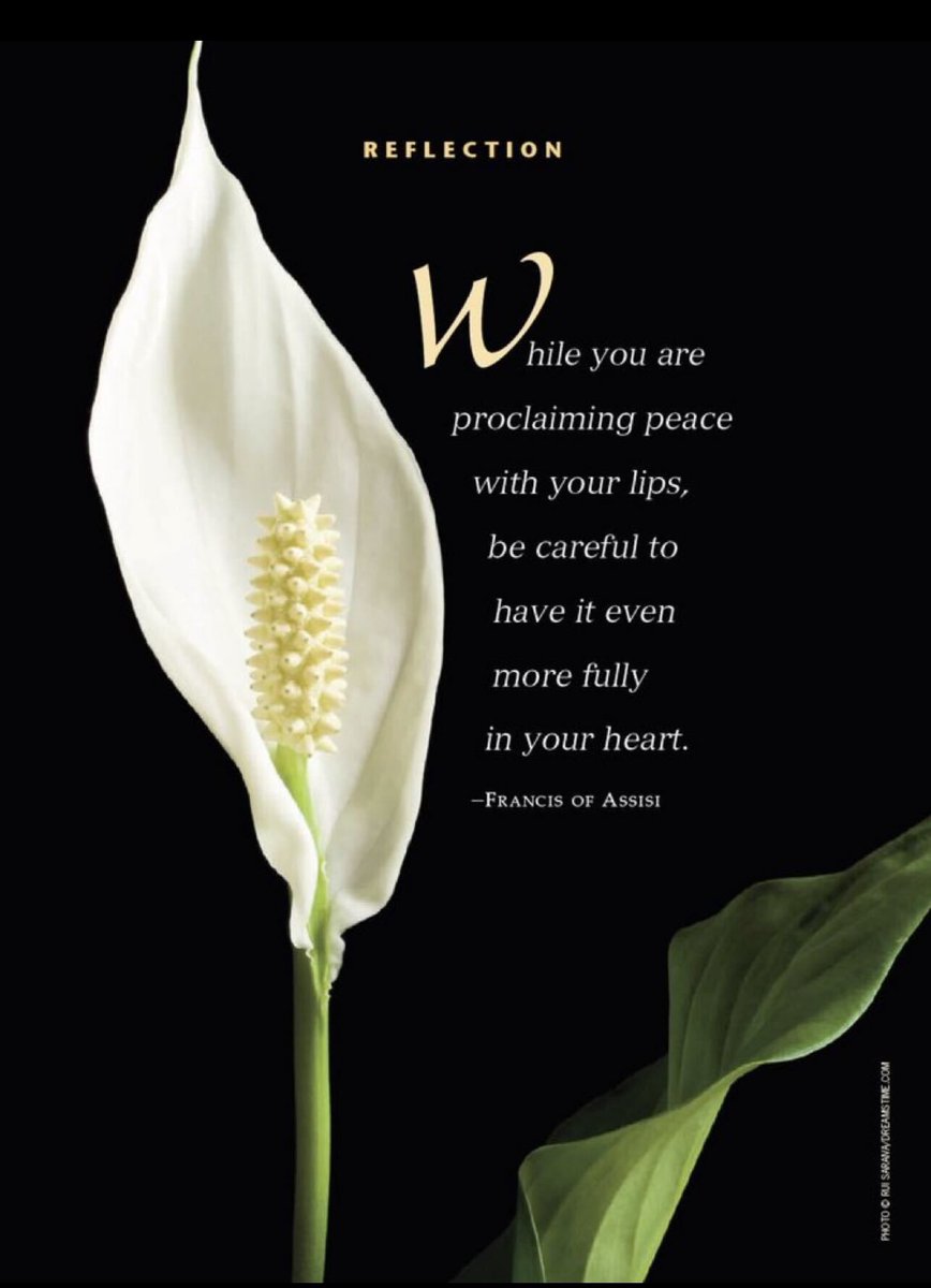 stanthonymag tweet media