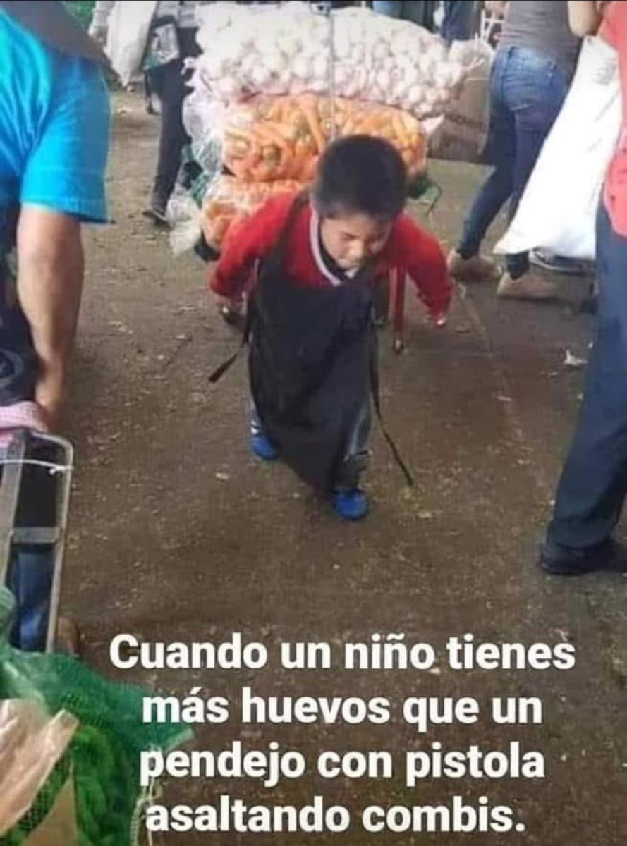 Cachorro777 tweet media