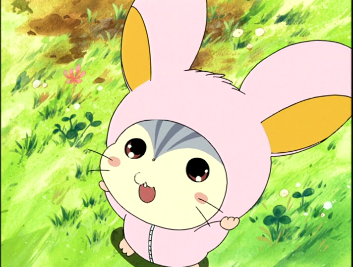 Hamtaro・ハム太郎 tweet media