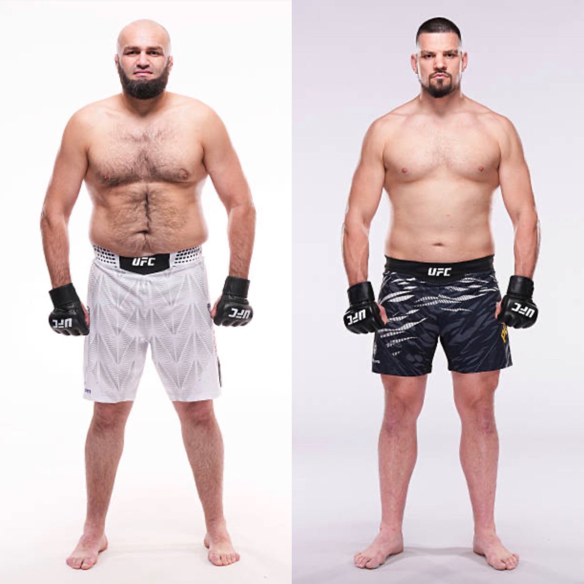MMA Orbit tweet media
