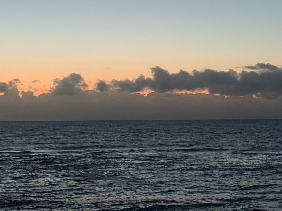 SeaWindowCraster tweet media