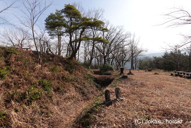 城郭放浪記 tweet media