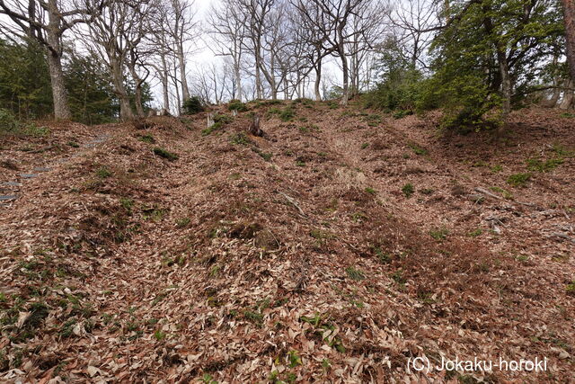 城郭放浪記 tweet media