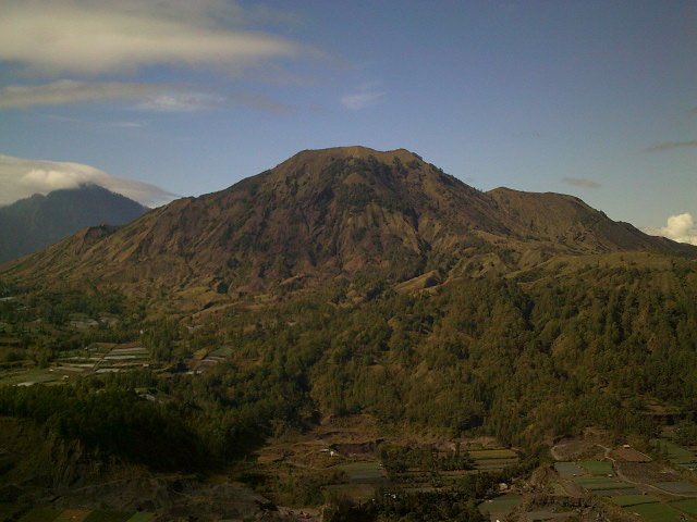 yungrolls tweet media