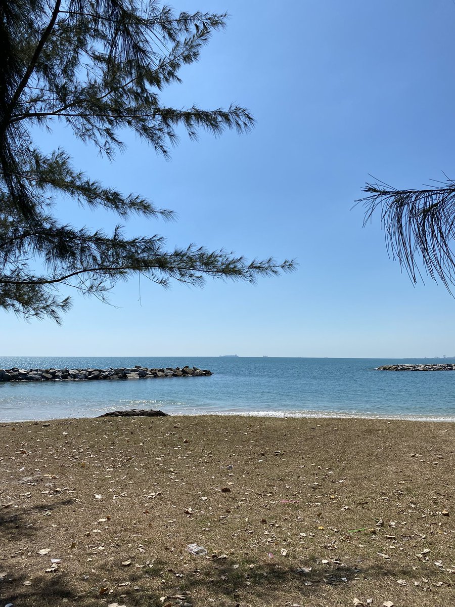 Tanatron tweet media