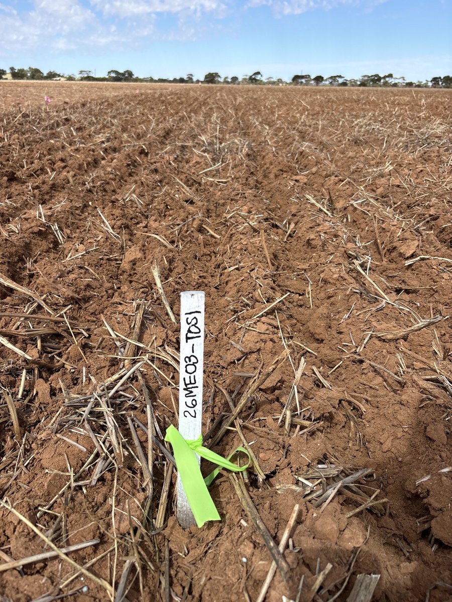 Blakely Paynter tweet media
