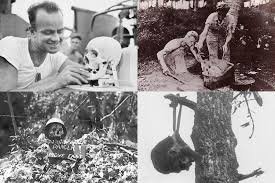 Great Replacer south america tweet media