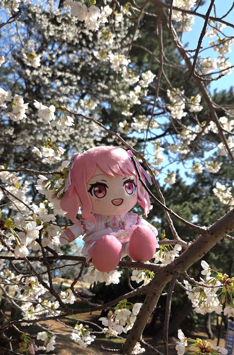 기기기린 tweet media