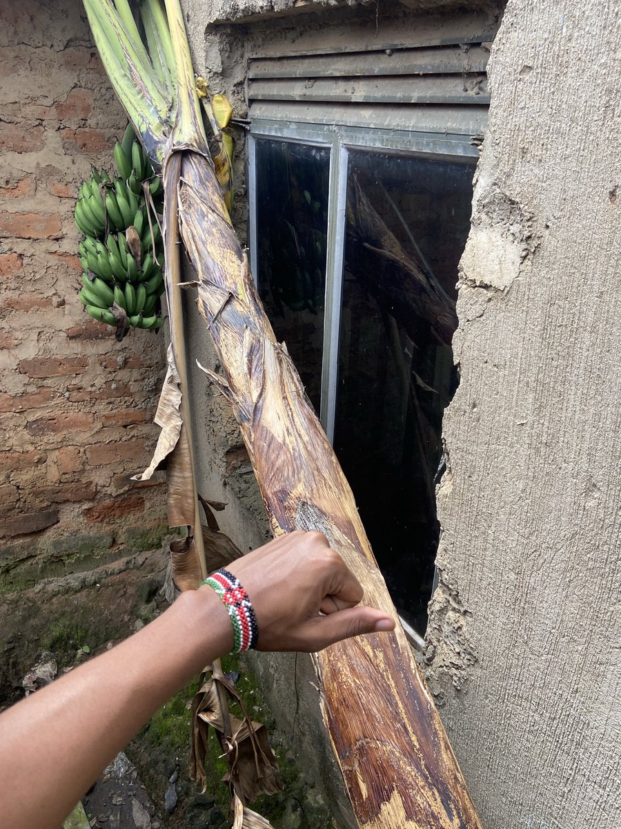 Roland🏆 tweet media