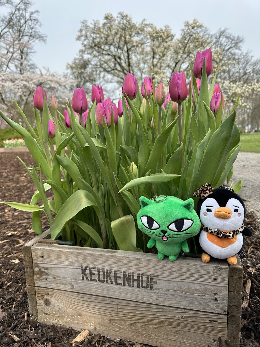 💚💛 CC 💚💛 tweet media