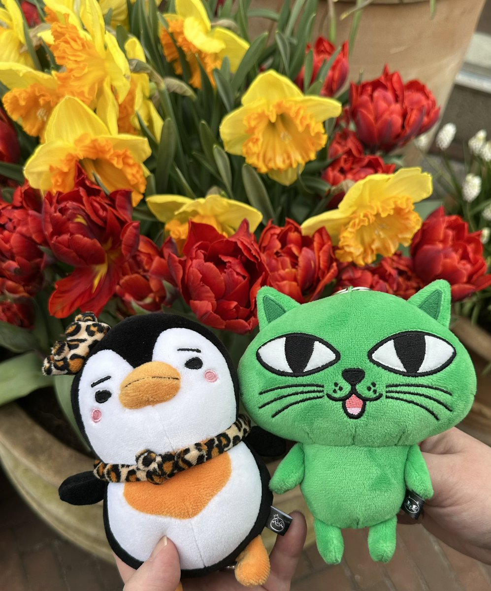 💚💛 CC 💚💛 tweet media