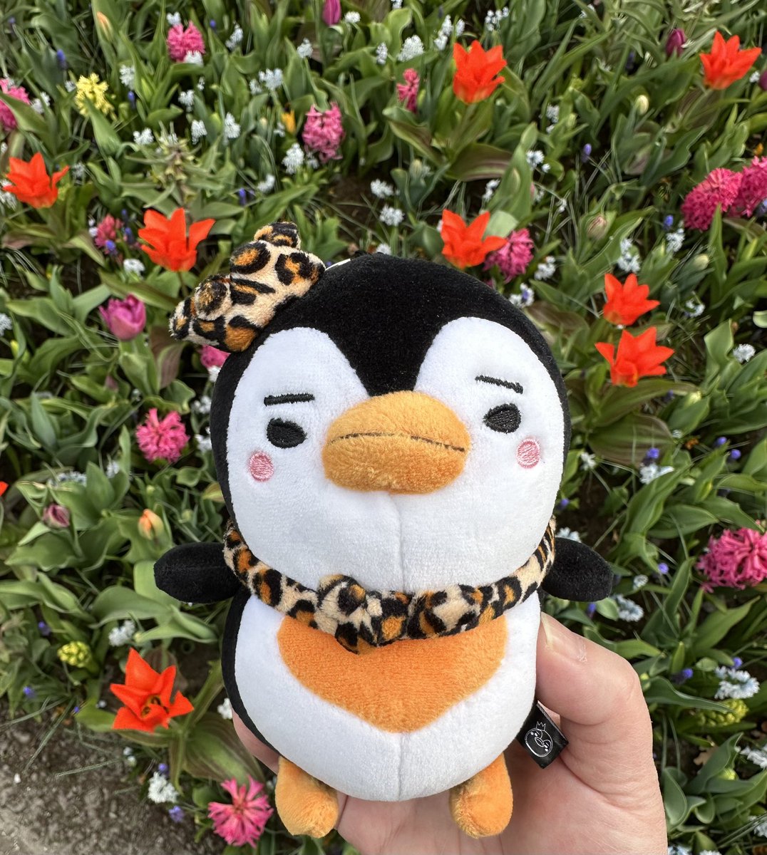 💚💛 CC 💚💛 tweet media