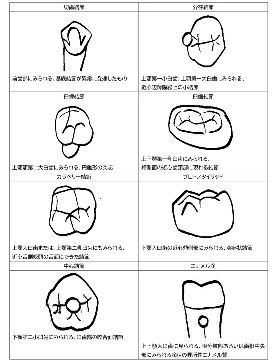 歯科医師国家試験対策 ロムニーハウス勉強会【講師 Dr.N】 on X: 