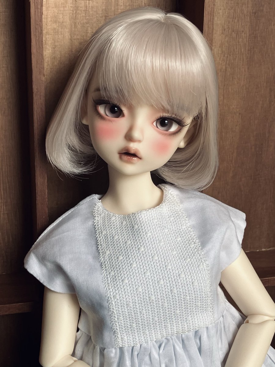 可愛いお嬢さんが某所に居ましたので予定にはなかったんですがお迎えしました。