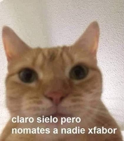 sarita⁷ tweet media