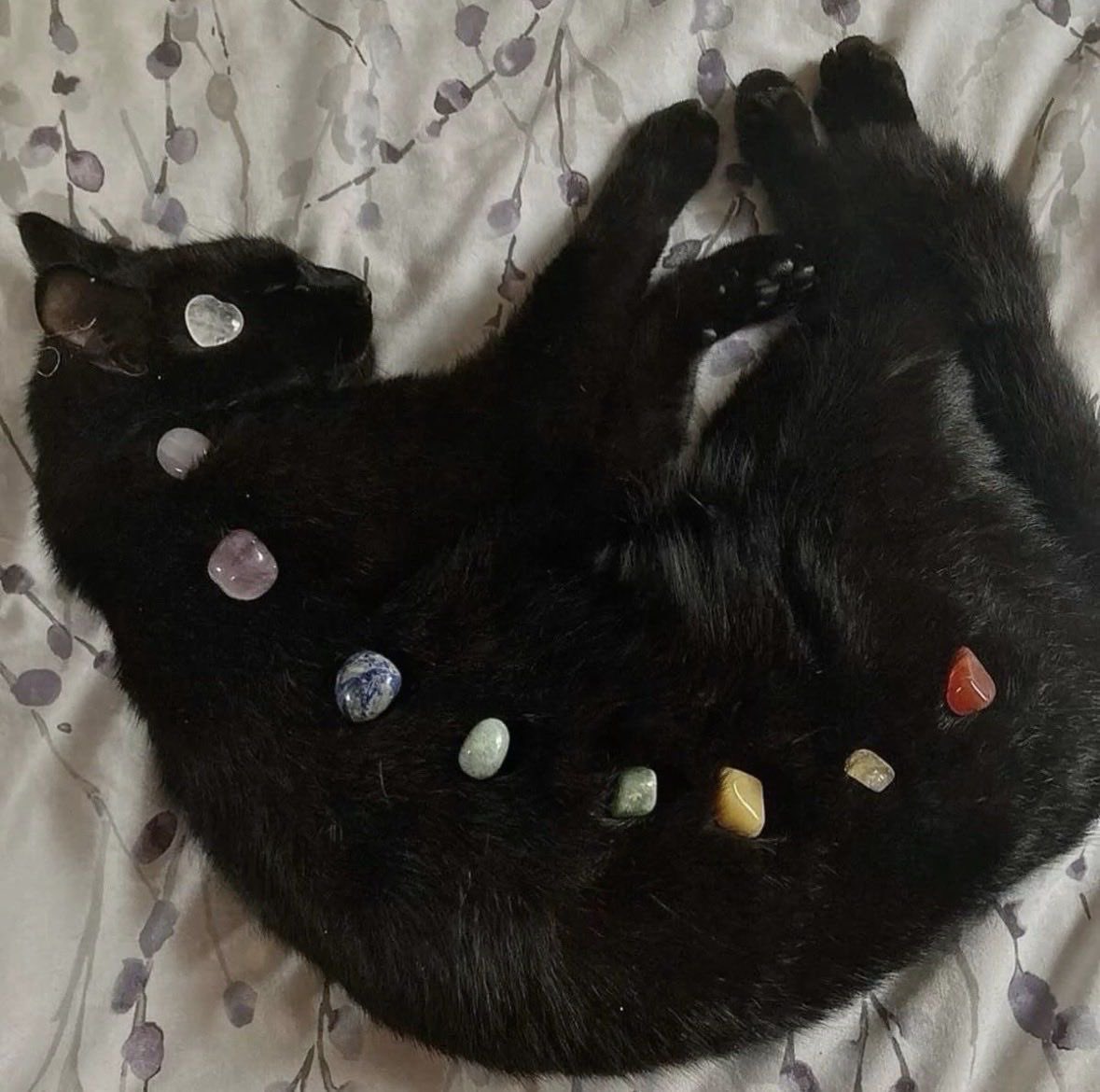 ⋆˚꩜｡⋆ (@athena8i) on Twitter photo 