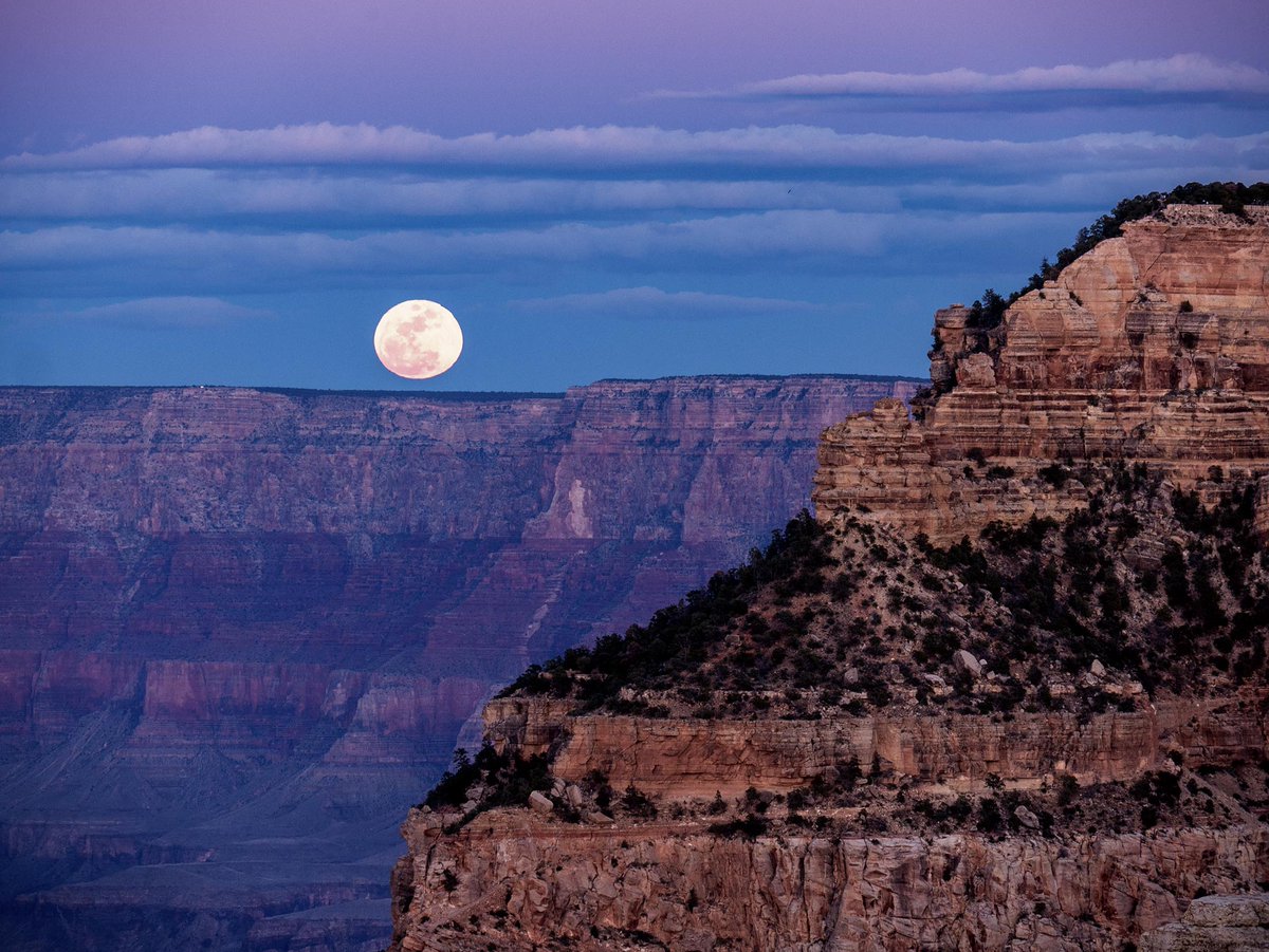 Grand Canyon NPS tweet media